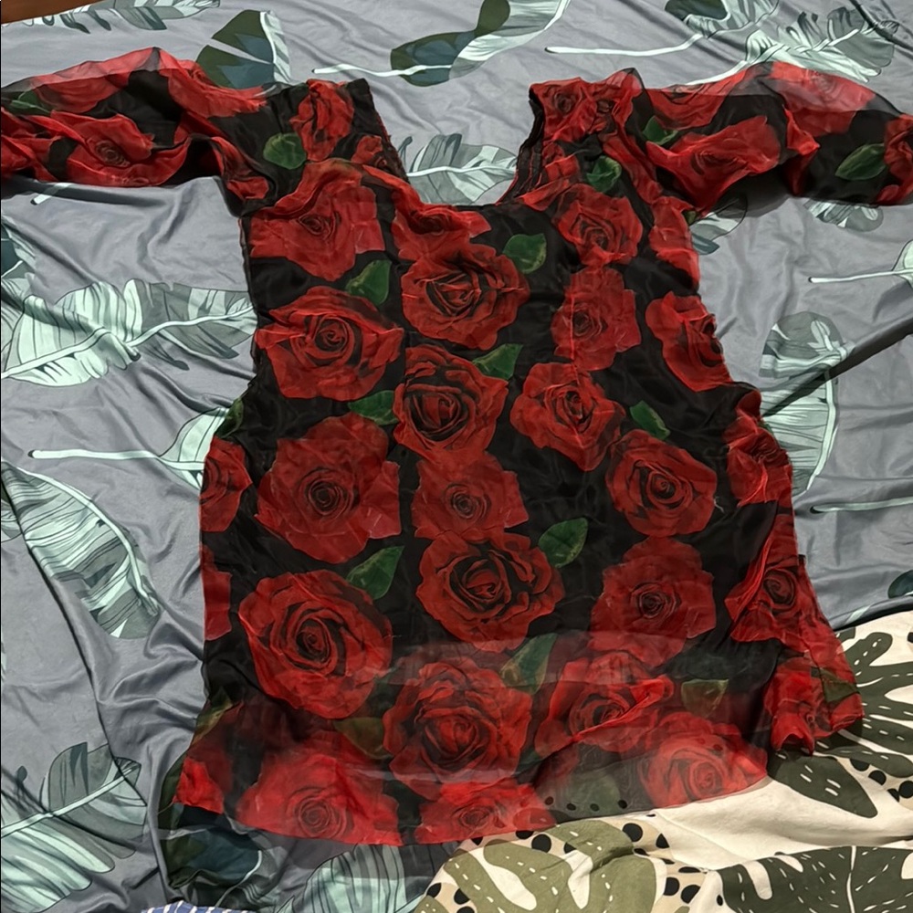 Red Rose Sheer Top